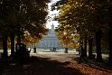 2009-10-26, Herbstfärbung (8)